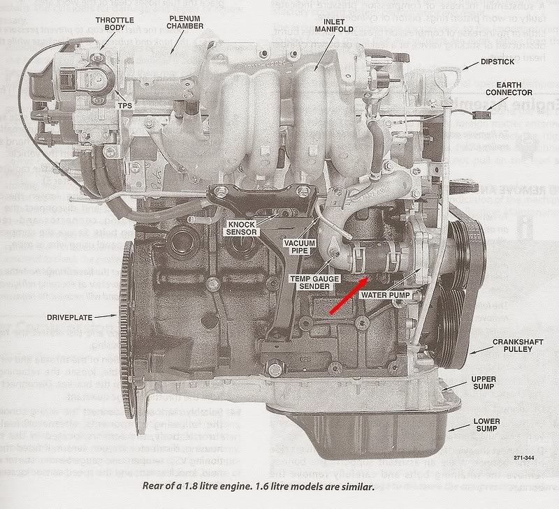 Hose behind the water pump | Toyota Nation Forum